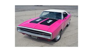 Read more about the article The Pink Superbird That Defies All Expectations