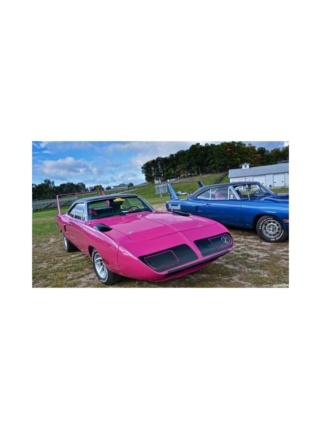 The Pink Superbird That Defies All Expectations